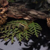 Ηow to wear jewelry with semi-precious stones